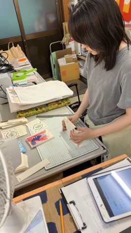 luciddreamtoolkit.com